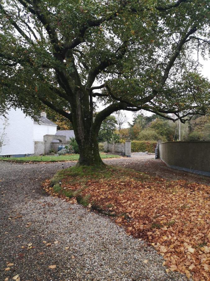 Kilpatrick Glebe Villa Crossabeg Eksteriør billede