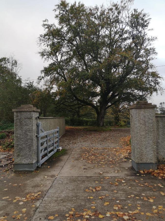 Kilpatrick Glebe Villa Crossabeg Eksteriør billede